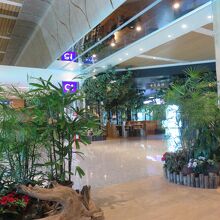 台湾桃園国際空港