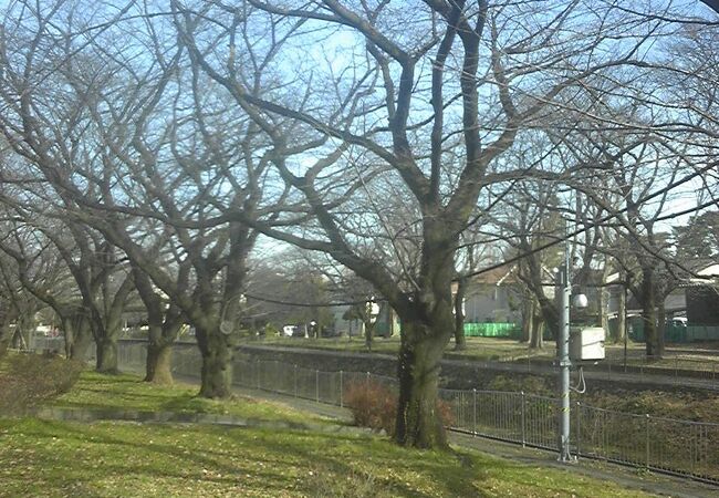 善福寺川沿いの公園