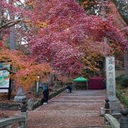 勅使門の散紅葉を撮るのは難しい