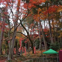 境内の紅葉