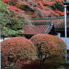 霊殿と宸殿の間の景色