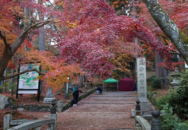 勅使門の散紅葉を撮るのは難しい