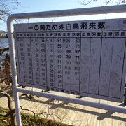 白鳥の飛来地 （一の関ため池親水公園） 