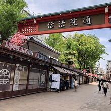 晴れてきて良い感じの散歩です