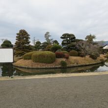 岡山神社一の鳥居横から見る小城公園