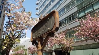 銀座桜通り