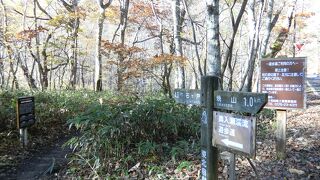 素晴らしい日本の自然