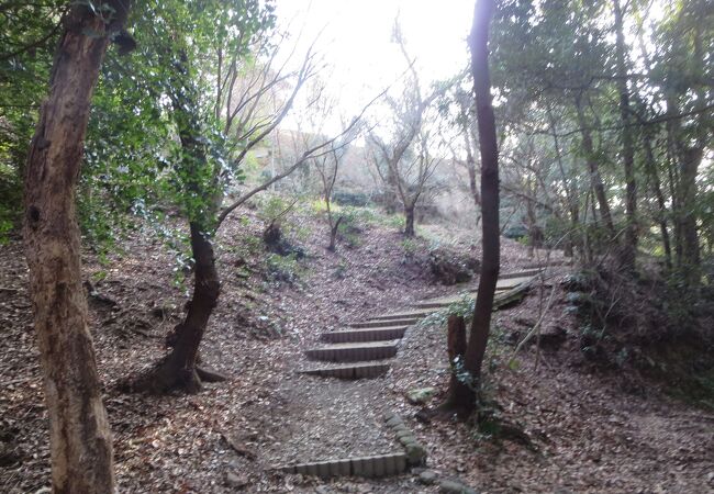須賀神社の長い急な階段を上り、さらに山道を行きます。