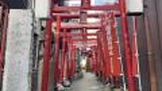 中洲の守り神です