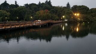 夕暮れ時の七井橋