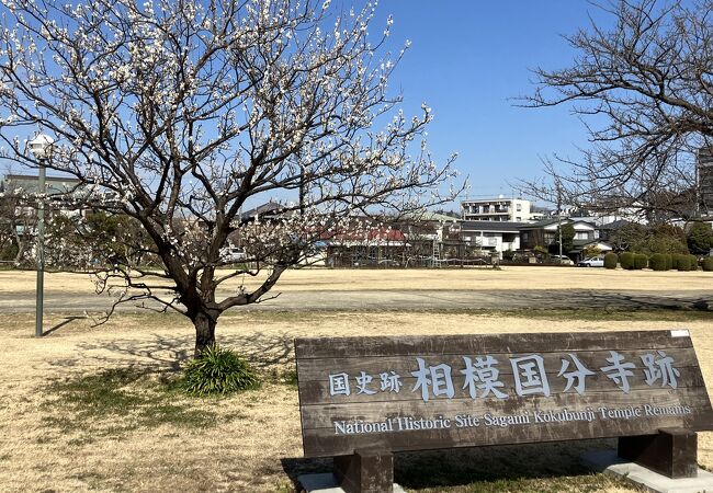 奈良時代建立の寺院の境内跡