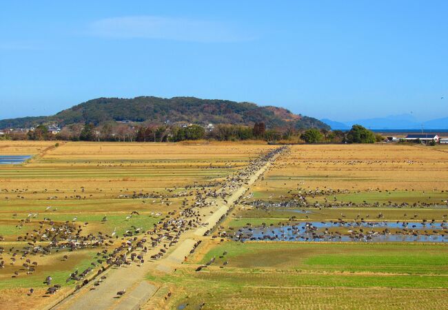 ここでしか見られない圧巻の光景