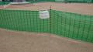 2月上旬も、一部で芝生の養生が行われていました。