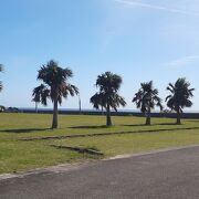 細崎港の隣にある広い公園