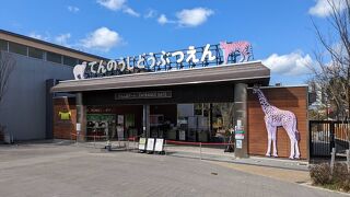 天王寺の動物園