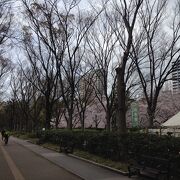 東西に長い公園