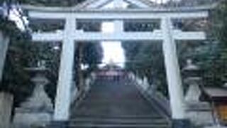 日枝神社の表参道に造られた階段坂です