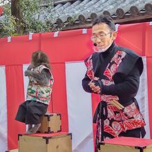 西宮神社 十日えびす大祭 