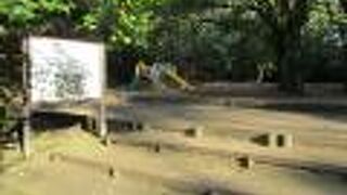 城山の子供の遊び場