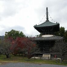 左手の多宝塔