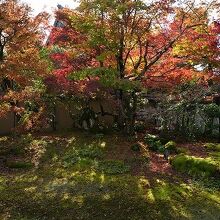 方丈前の苔庭