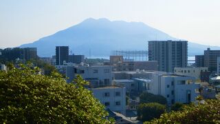 小高い丘の上だった