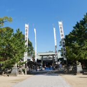 唐津くんちの神社