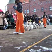 （再訪）ペンギンのパレードもありますが・・・