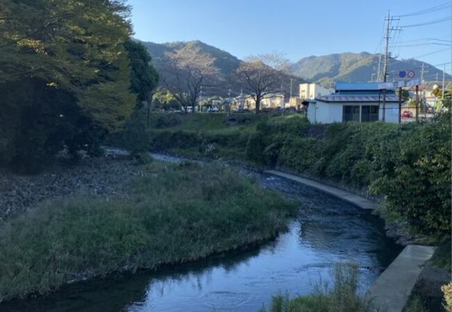 やはり鮎が釣れるのでしょうか