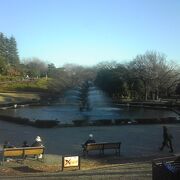 正月明けの世田谷公園