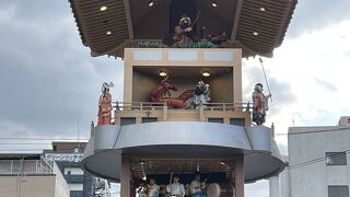 ついに出会えた