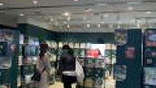 お土産フィギュアも