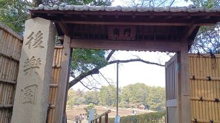 紅白梅が咲いていた岡山後楽園