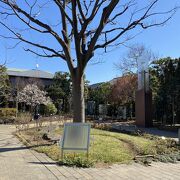 閑静な住宅街の一角にある素敵な公園