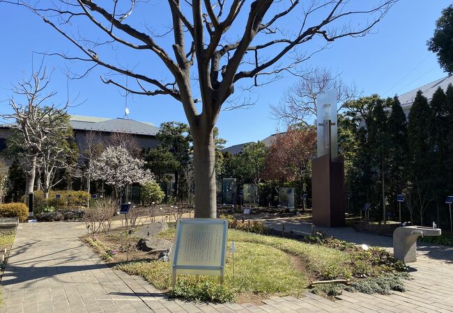 閑静な住宅街の一角にある素敵な公園