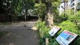 気持ちの良い散歩道