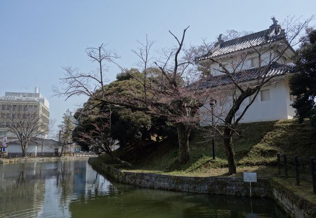 土塁と水堀に囲まれた平城