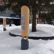 雪に埋もれていました。。。