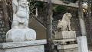 見どころのたくさんある神社です。