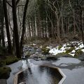 土湯温泉にある高級宿。丁寧＆至れり尽くせりなサービスに加え、森の中にある貸切風呂の雰囲気が最高！