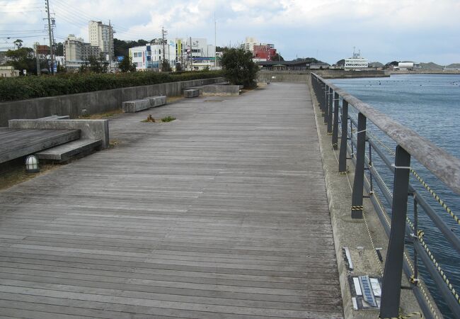 カモメの散歩道