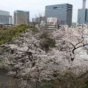 満開の桜が綺麗でした