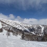 粉雪質変化が楽しい！