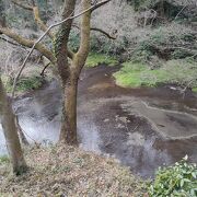 湧水の湧き出る様子が見られる