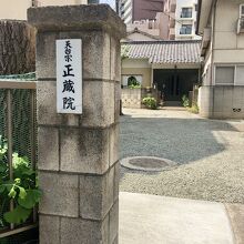 行ってみようかな