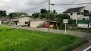 上がれる古墳！