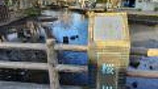 春先になると大量の清い水が流れて