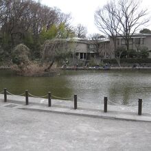 池の向こうにあるのが郷土資料館