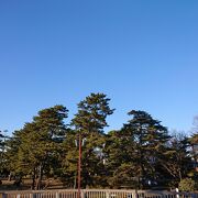 緑豊かで非常に環境の良い公園だと思います