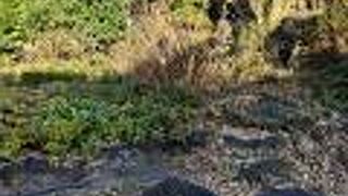 愛染明王を祀る名に因んだ院の跡地